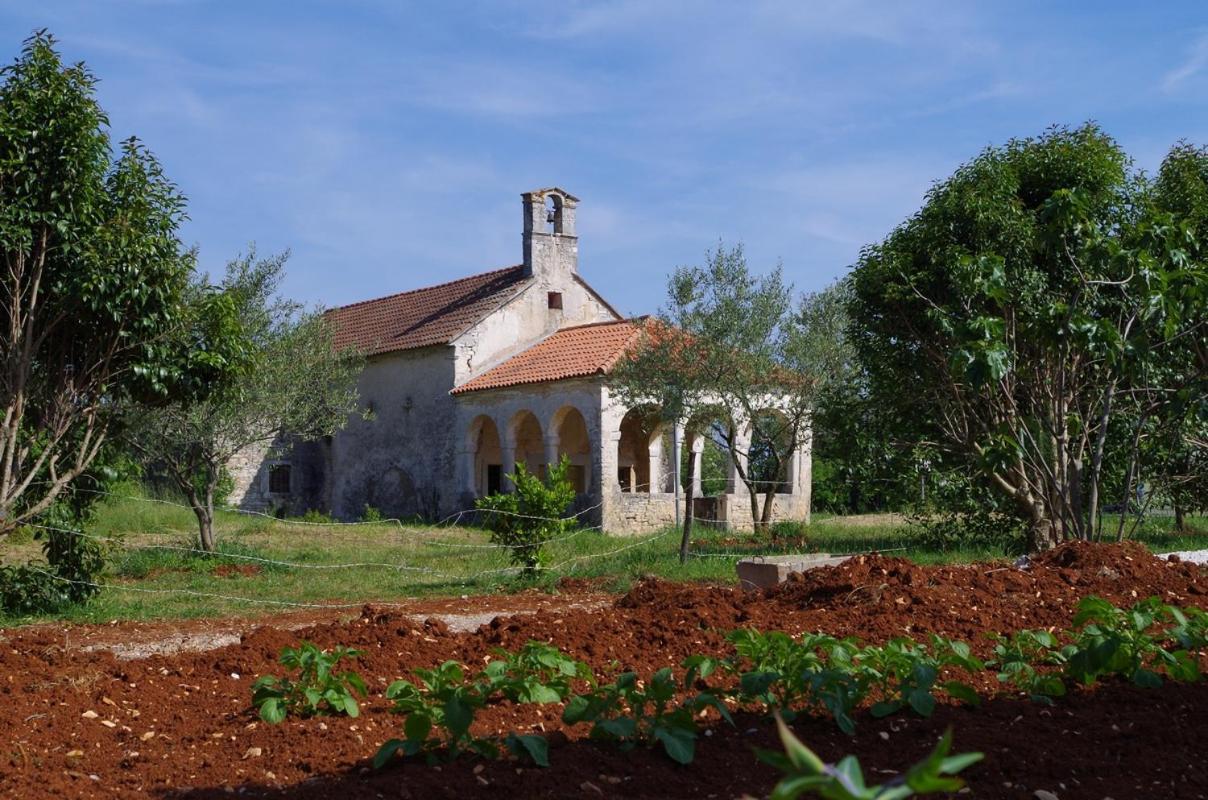 Villa House Oliva, Sveti Kirin Svetvinčenat Exterior foto